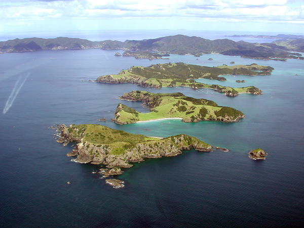 Auckland Islands
