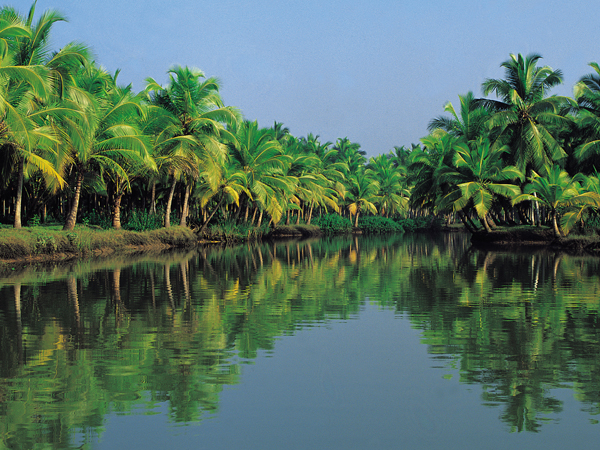 Kerala Backwaters in India